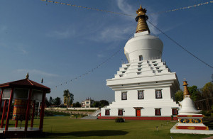 buddha-temple-namaste dehradun