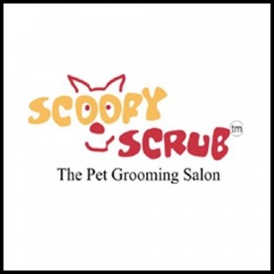 scooby-scrub-namaste-dehradun