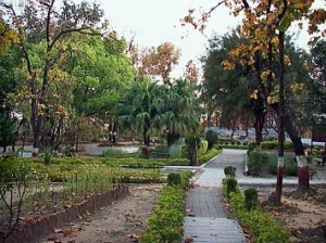 malsi deer park dehradun